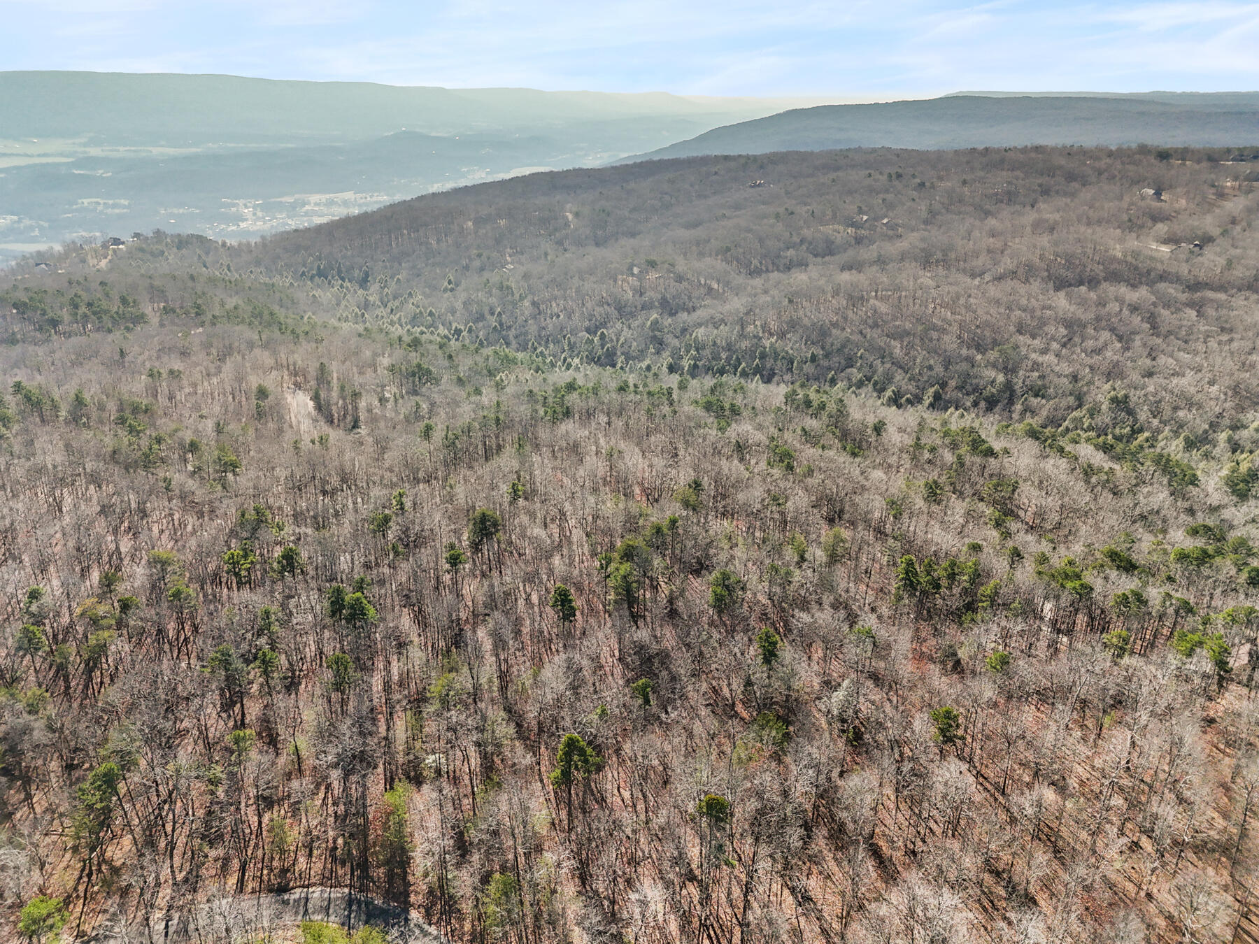 0 Tall Tree Trail 406