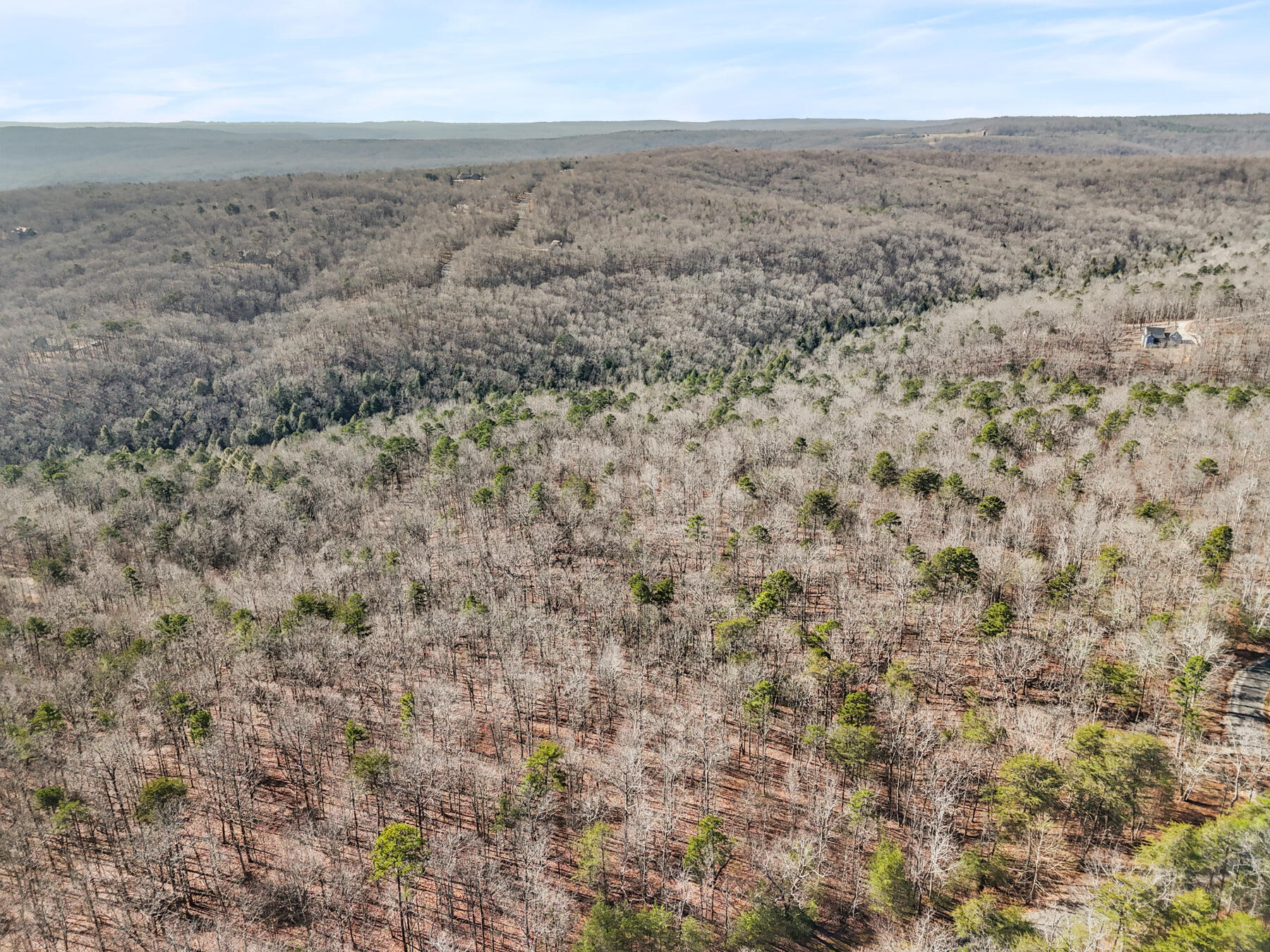 0 Tall Tree Trail 406