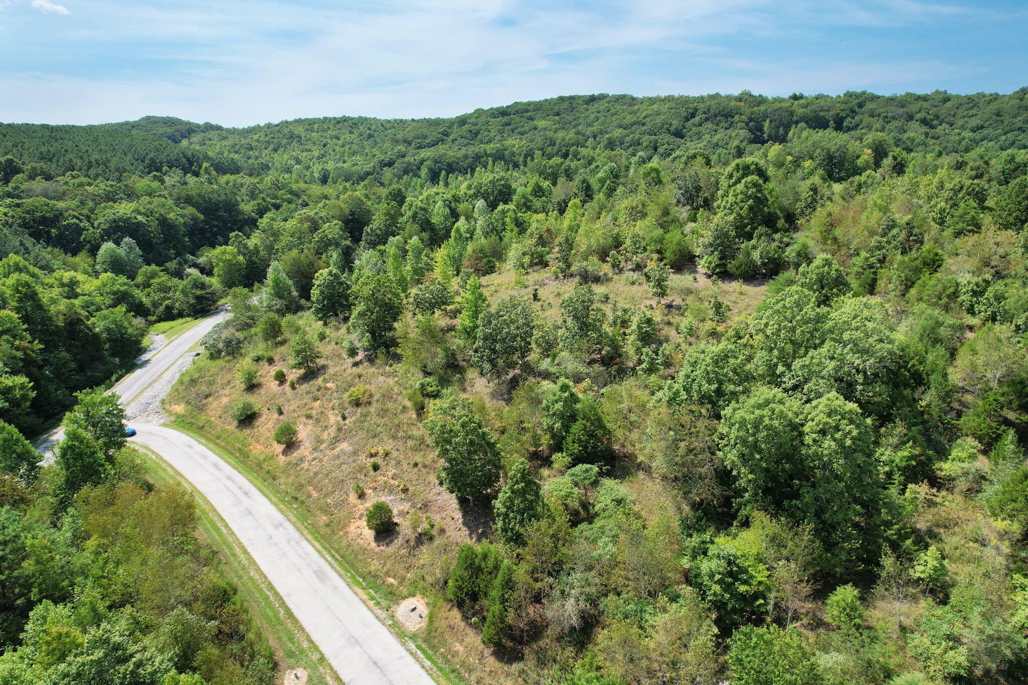 NE Emerald Lane, Rockwood, Tennessee image 6