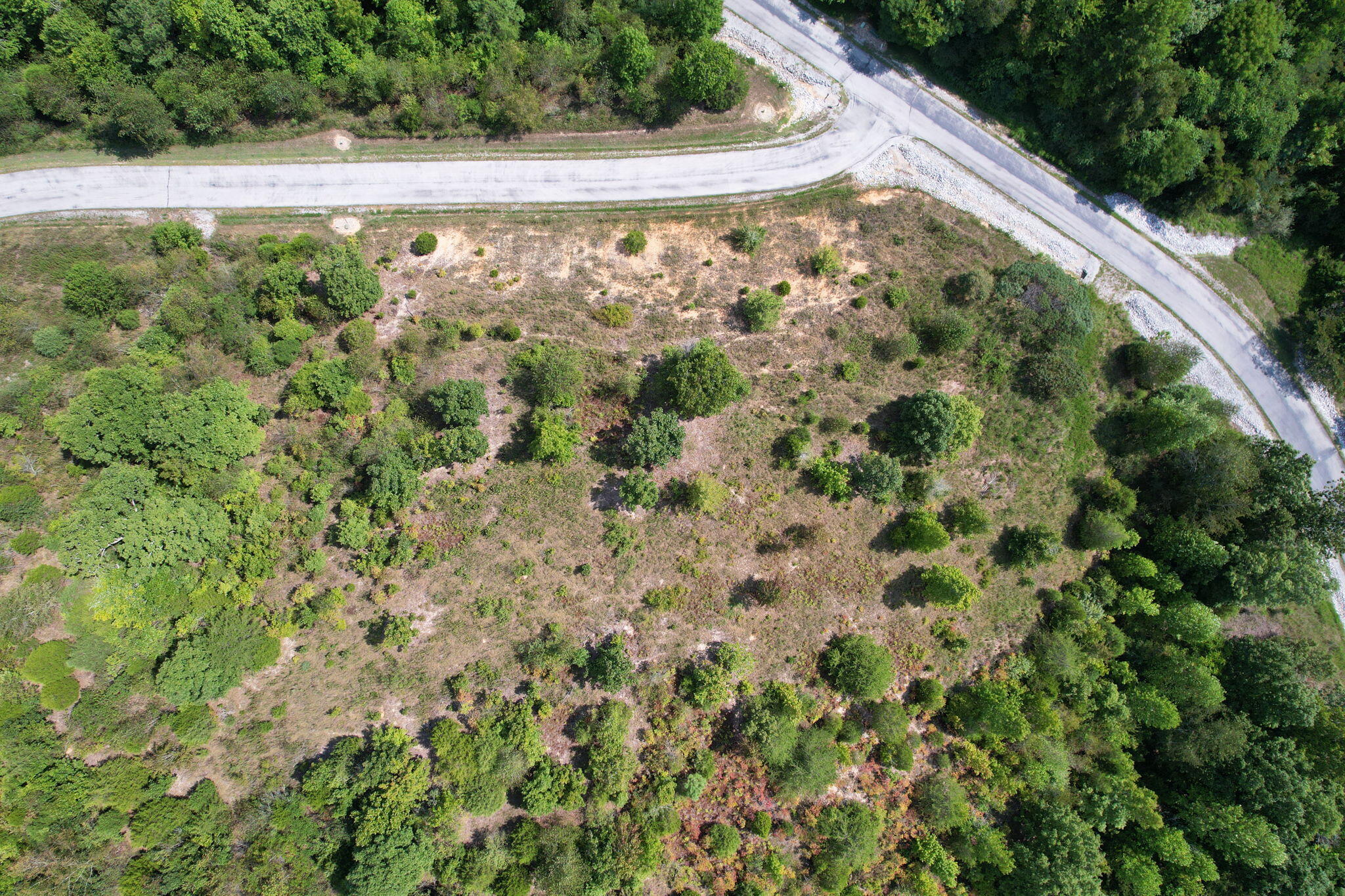 NE Emerald Lane, Rockwood, Tennessee image 4