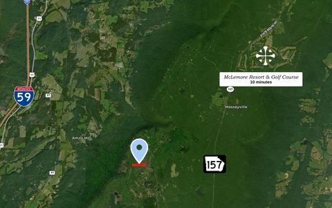 Tiny photo for 443 Tatum Gulf Road, Menlo, GA 30731 (MLS # 1521231)