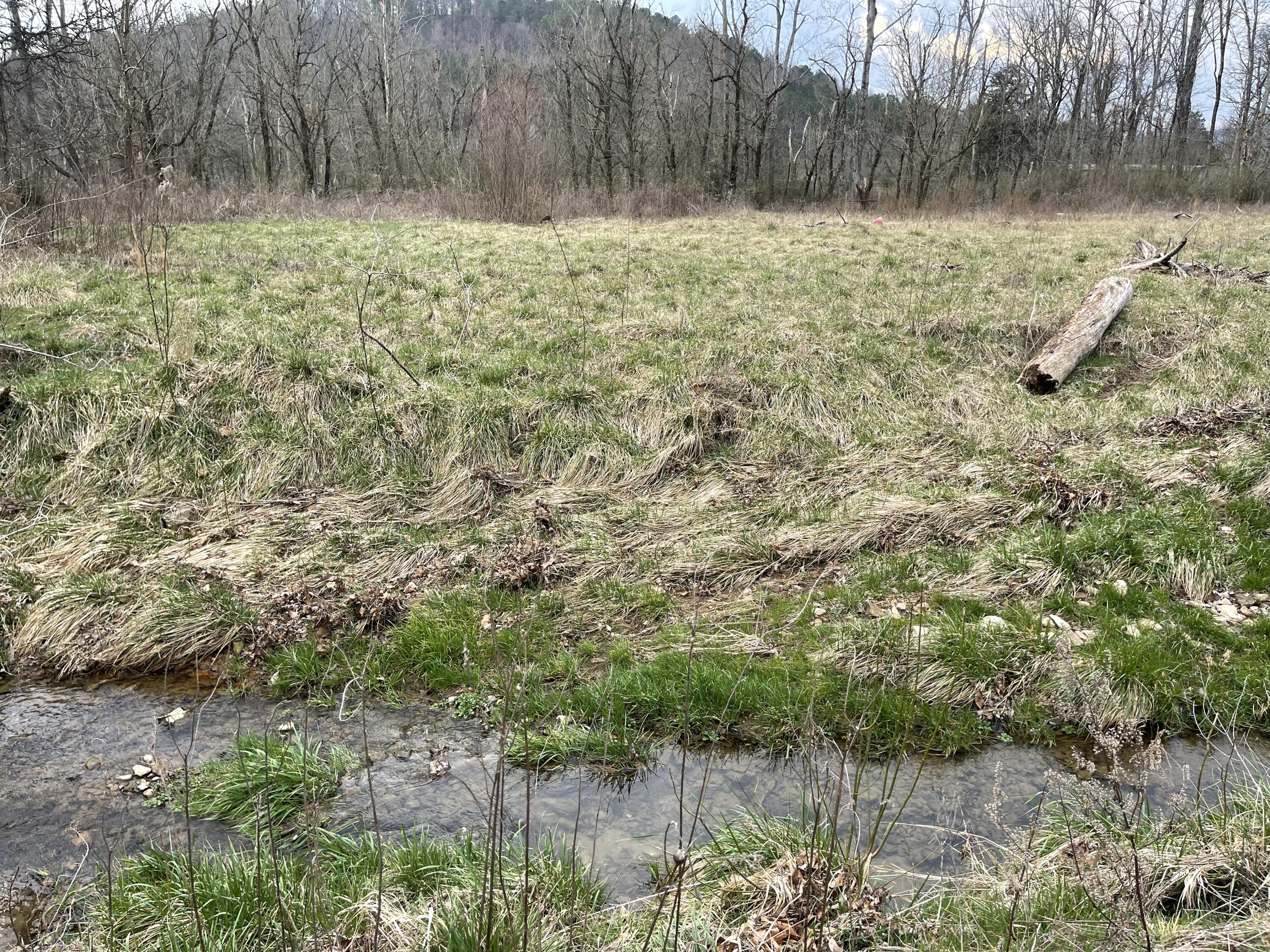 15634 Old State Highway 28, Pikeville, Tennessee image 3