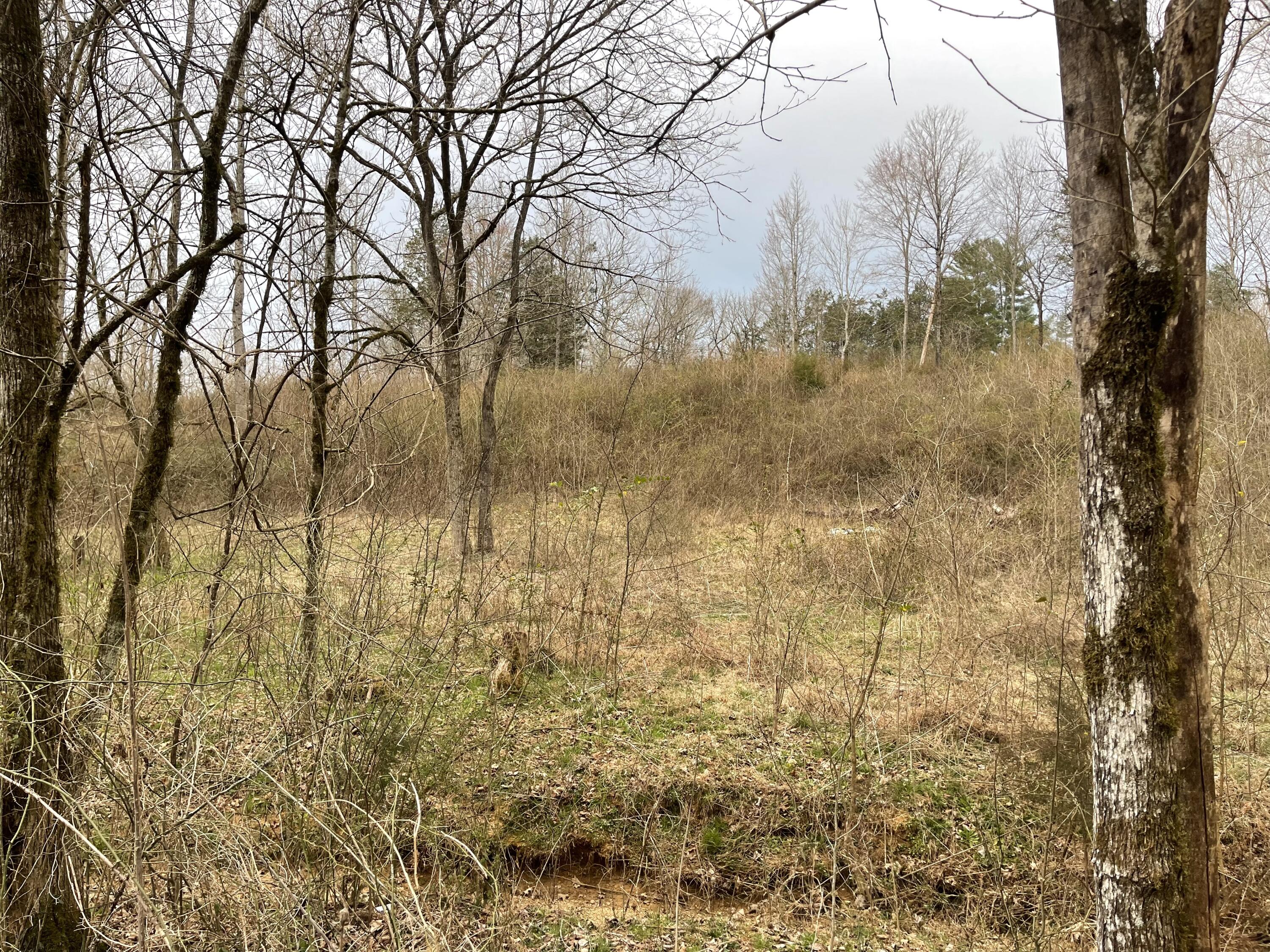 15634 Old State Highway 28, Pikeville, Tennessee image 11