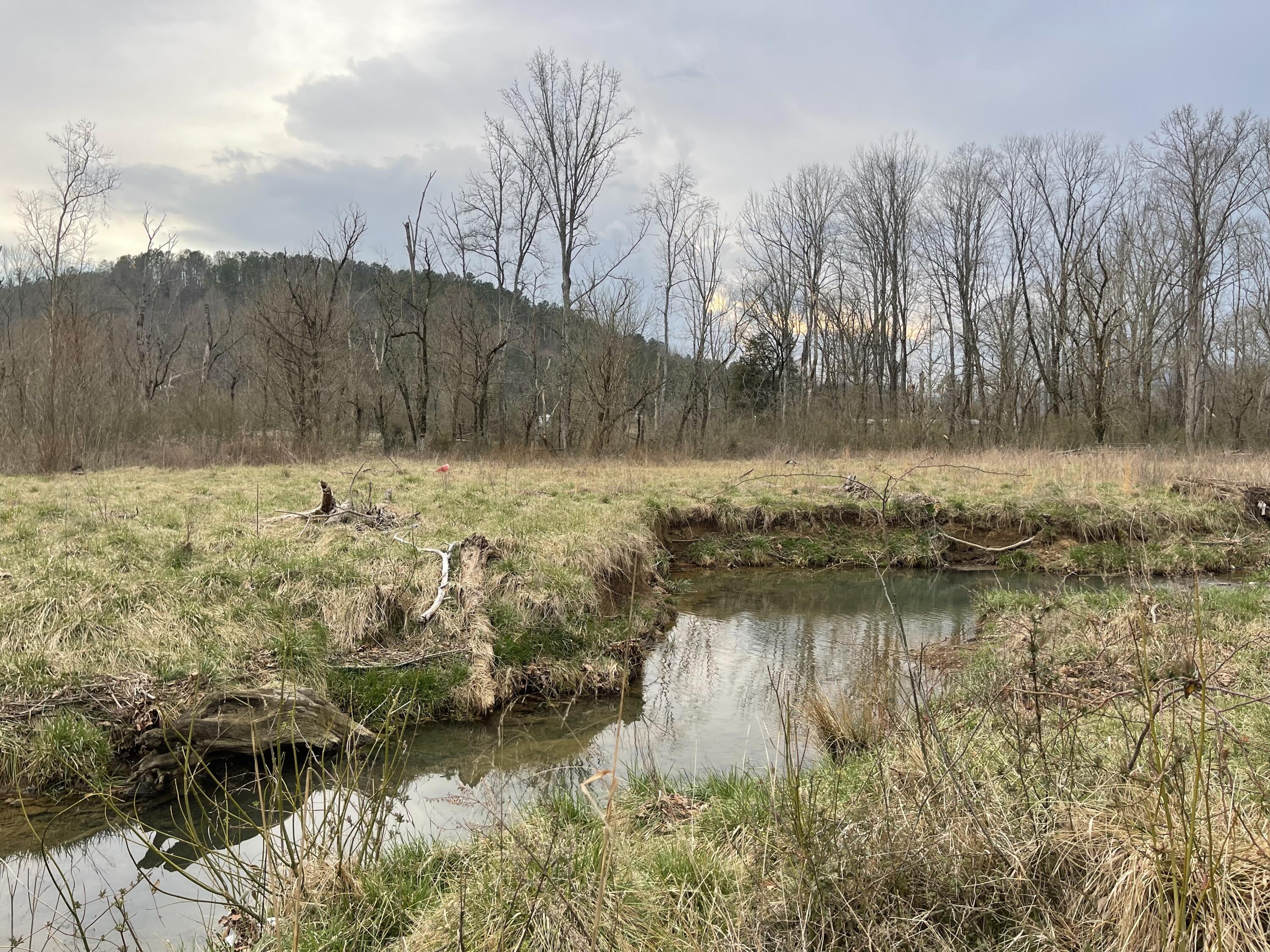 15634 Old State Highway 28, Pikeville, Tennessee image 1