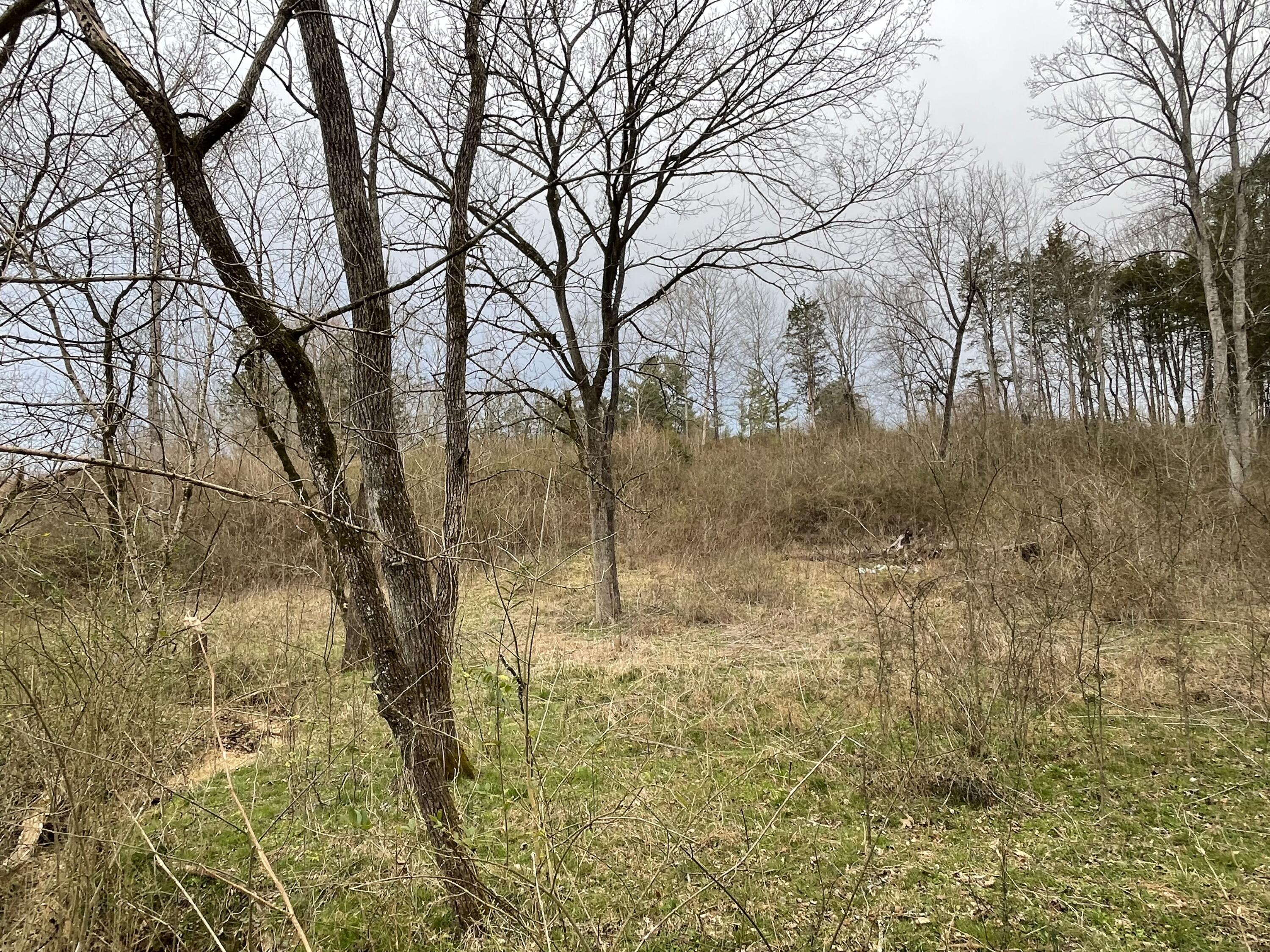15634 Old State Highway 28, Pikeville, Tennessee image 9