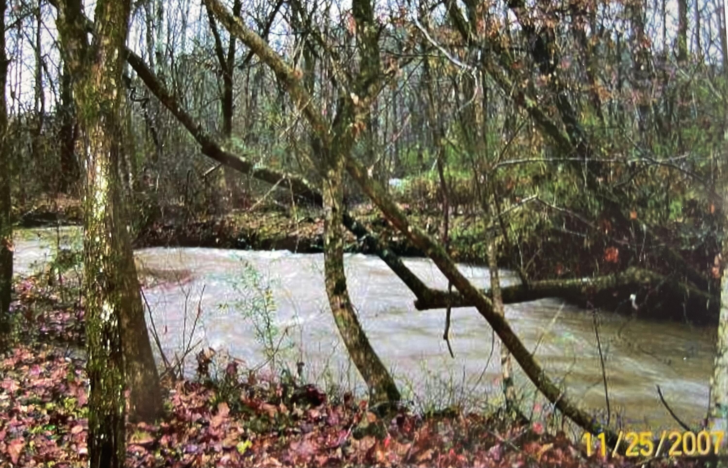 15634 Old State Highway 28, Pikeville, Tennessee image 27
