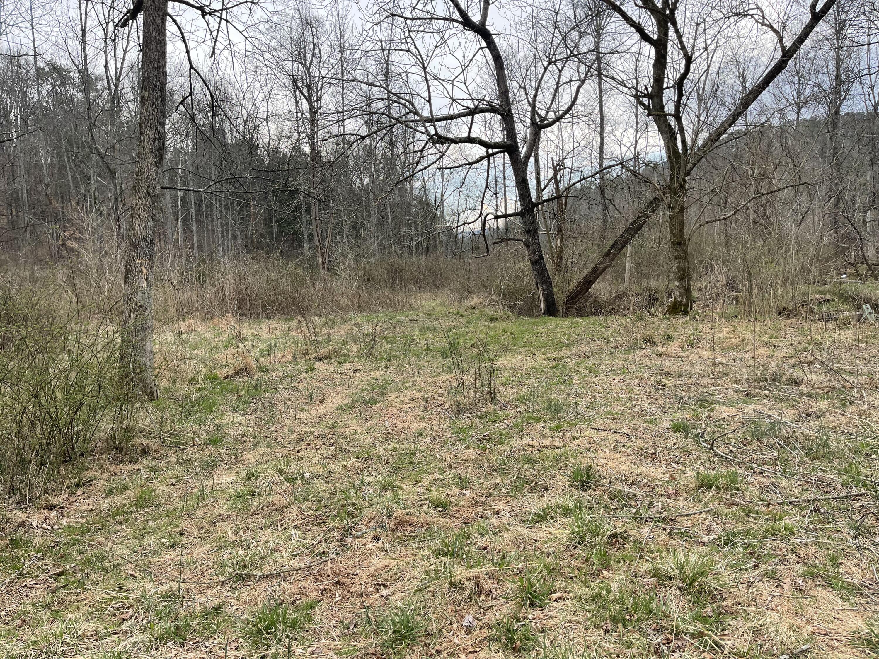 15634 Old State Highway 28, Pikeville, Tennessee image 8