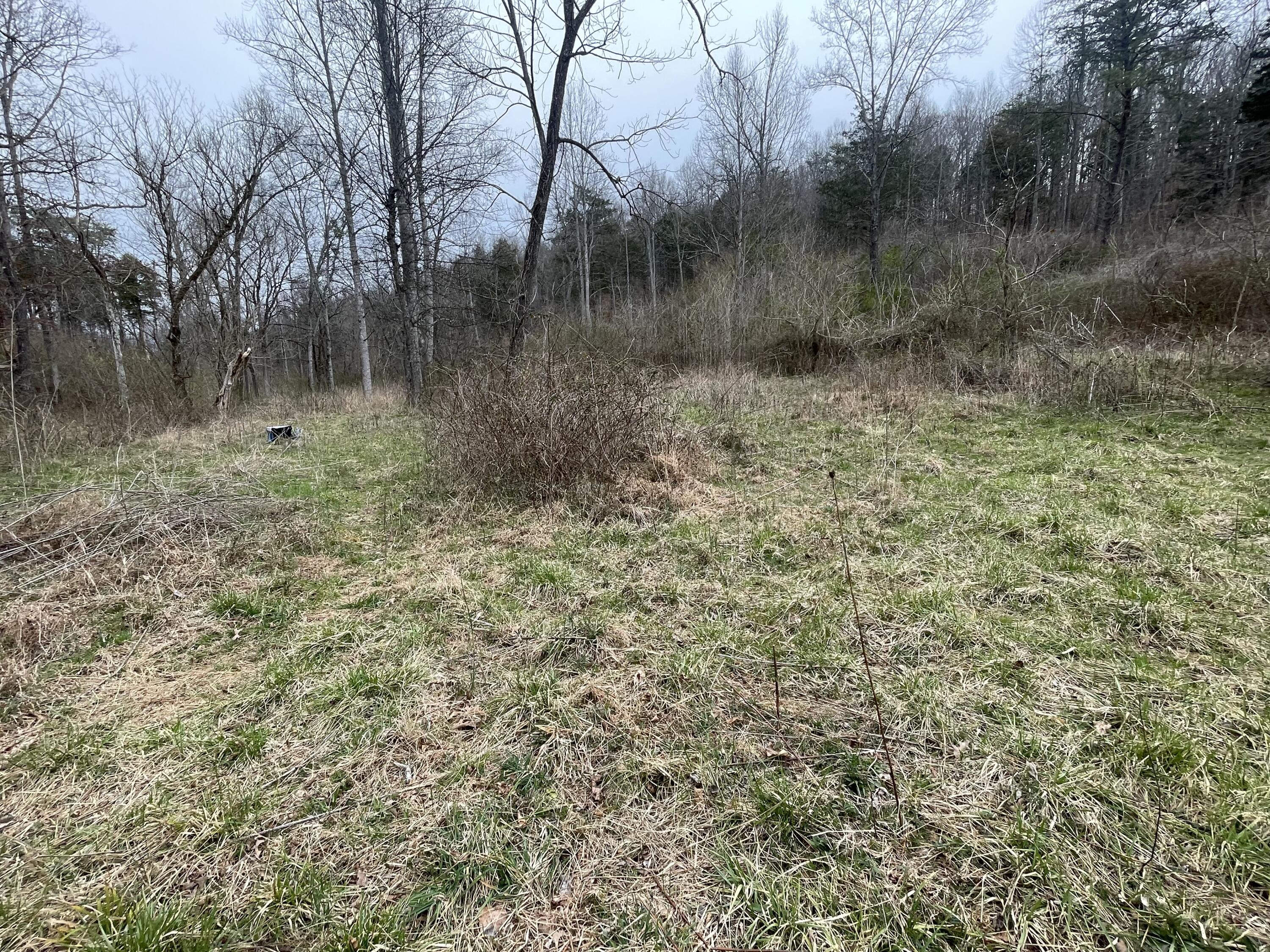 15634 Old State Highway 28, Pikeville, Tennessee image 7