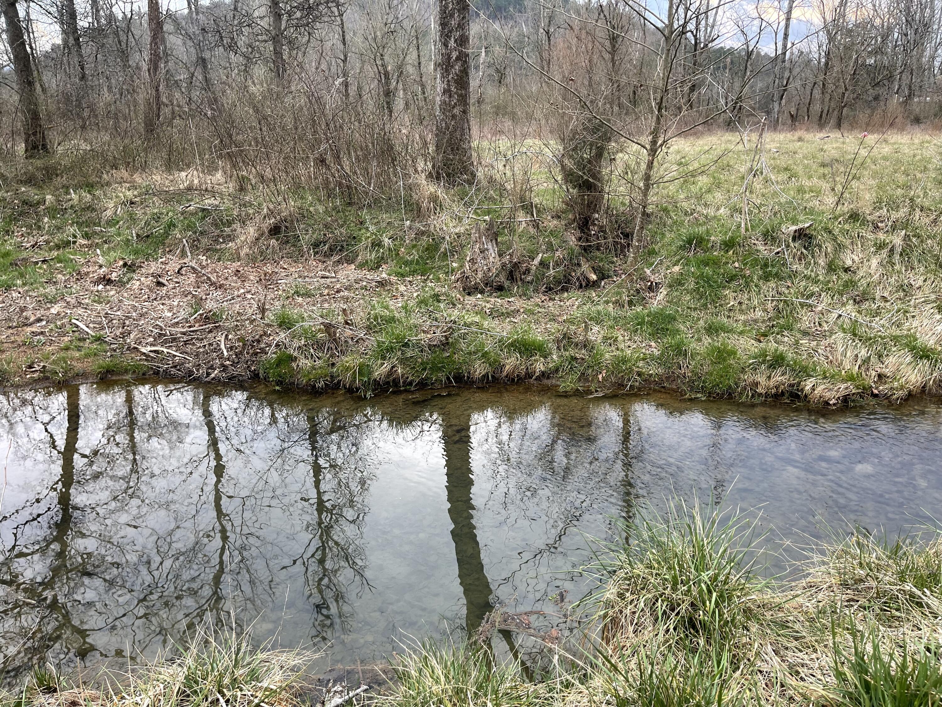 15634 Old State Highway 28, Pikeville, Tennessee image 4