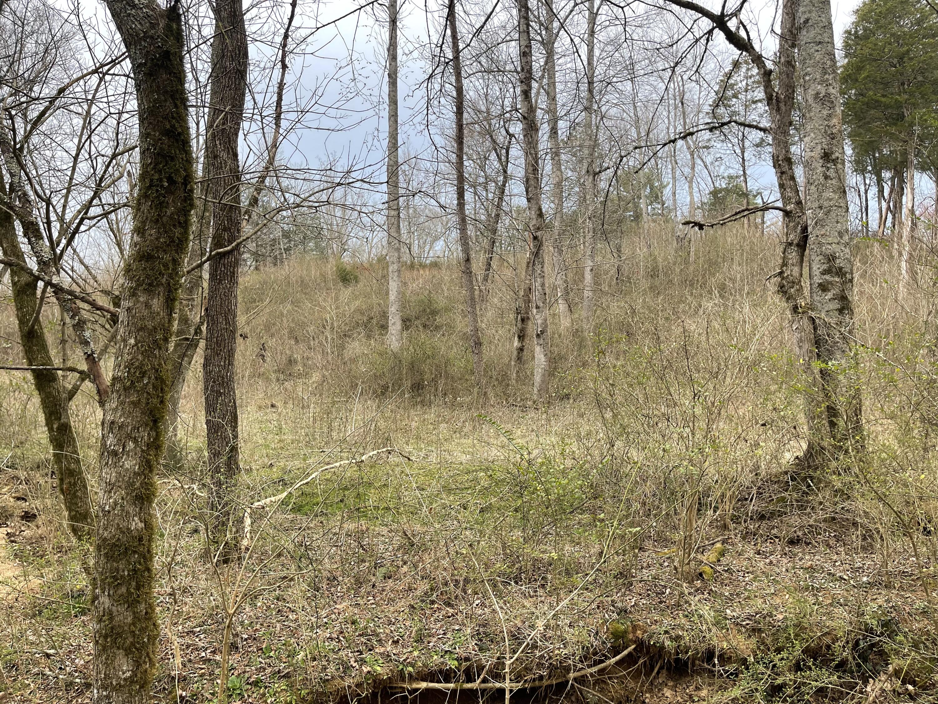 15634 Old State Highway 28, Pikeville, Tennessee image 10