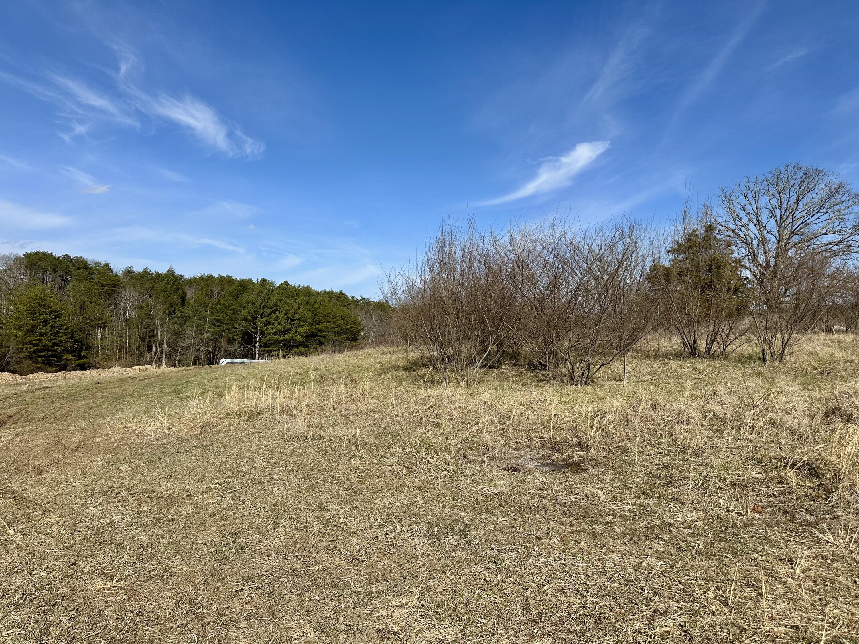 Lewis Chapel Road, Dunlap, Tennessee image 26