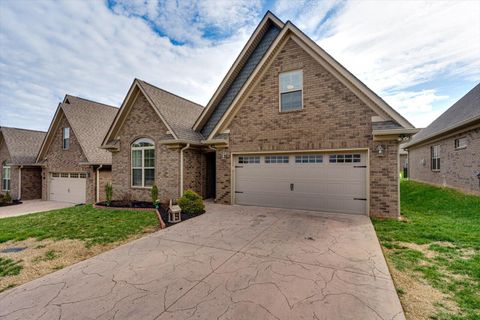 Photo of 204 Zion Cove Lane, Englewood, TN 37329 (MLS # 1529968)