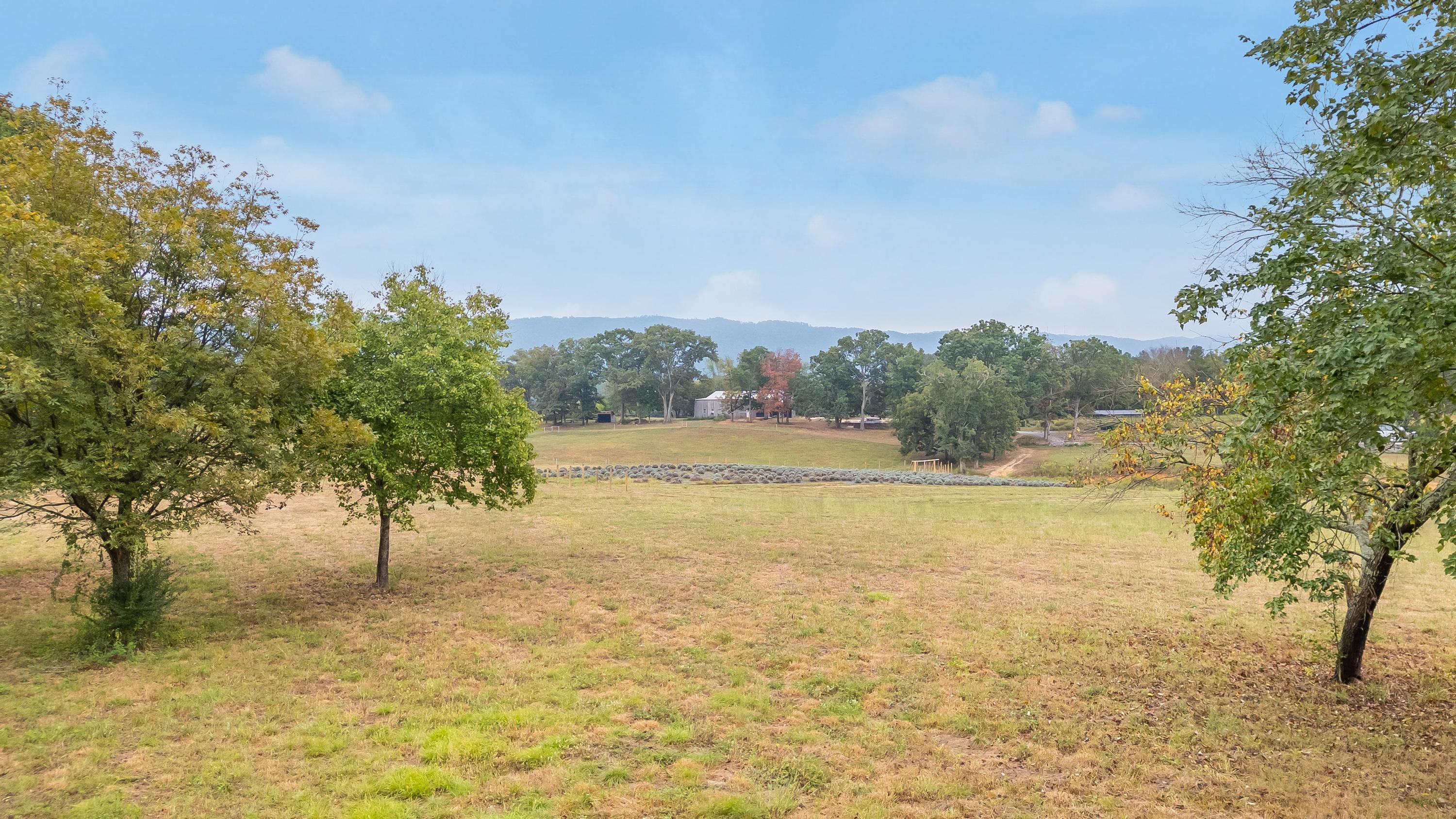 00 Lifestyle Way, Benton, Tennessee image 2