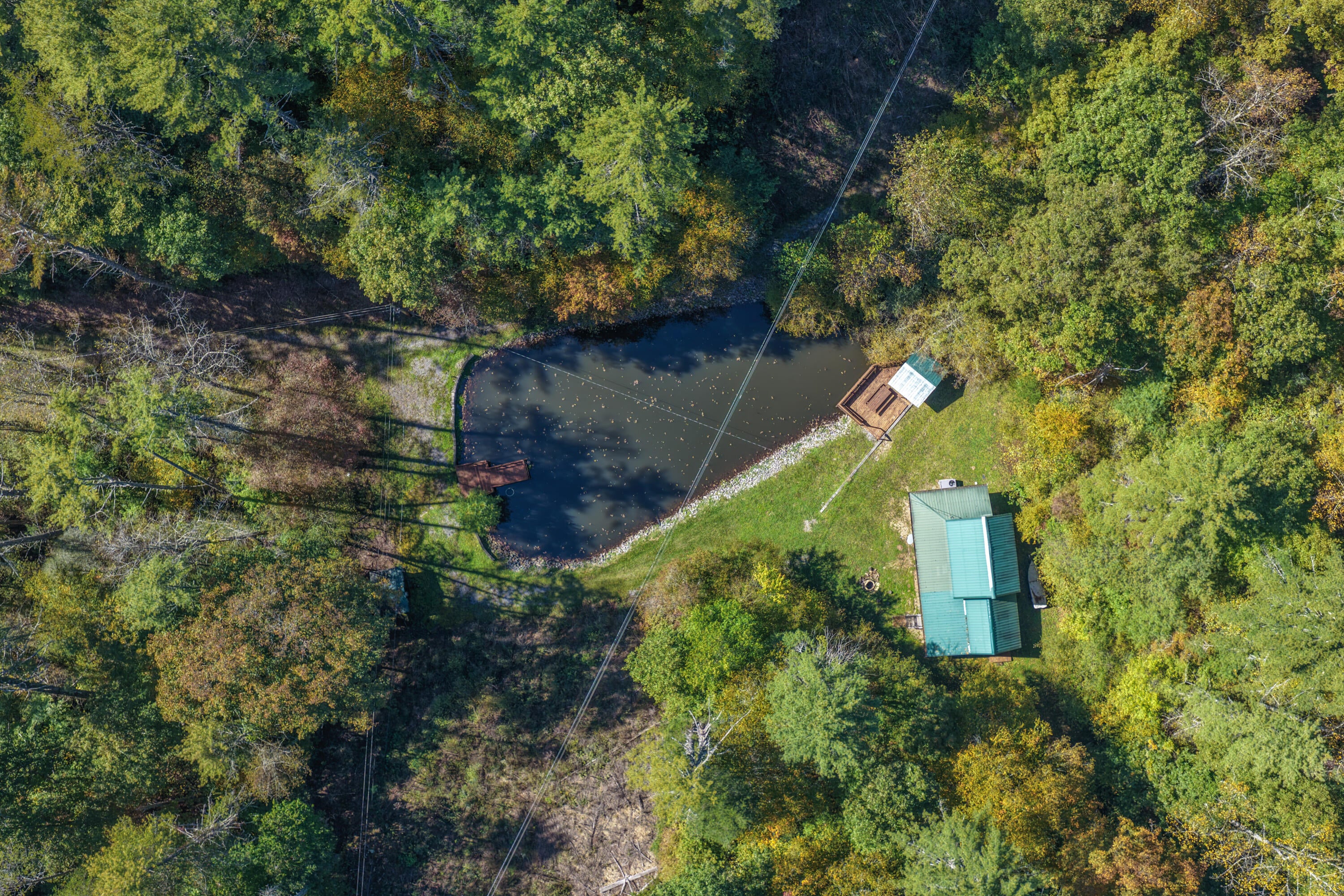 230 Big Towee Road