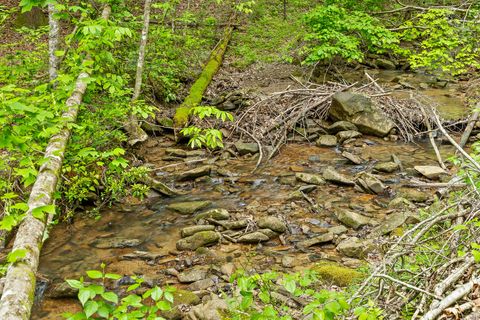 Tiny photo for 0 Dandy Road, Signal Mountain, TN 37377 (MLS # 1524756)