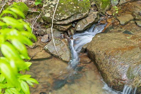 Tiny photo for 0 Dandy Road, Signal Mountain, TN 37377 (MLS # 1524756)