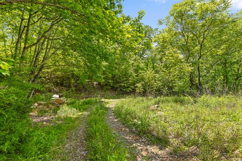 Tiny photo for 0 Dandy Road, Signal Mountain, TN 37377 (MLS # 1524756)