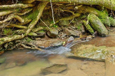 Tiny photo for 0 Dandy Road, Signal Mountain, TN 37377 (MLS # 1524756)