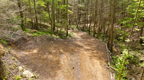 Tiny photo for 0 Dandy Road, Signal Mountain, TN 37377 (MLS # 1524756)