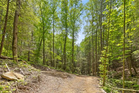 Tiny photo for 0 Dandy Road, Signal Mountain, TN 37377 (MLS # 1524756)