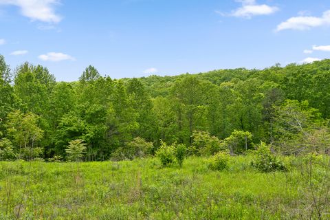 Tiny photo for 0 Dandy Road, Signal Mountain, TN 37377 (MLS # 1524756)