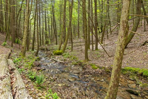 Tiny photo for 0 Dandy Road, Signal Mountain, TN 37377 (MLS # 1524756)