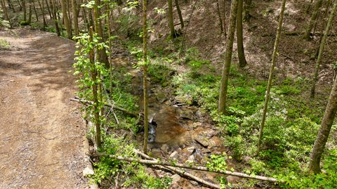 Tiny photo for 0 Dandy Road, Signal Mountain, TN 37377 (MLS # 1524756)