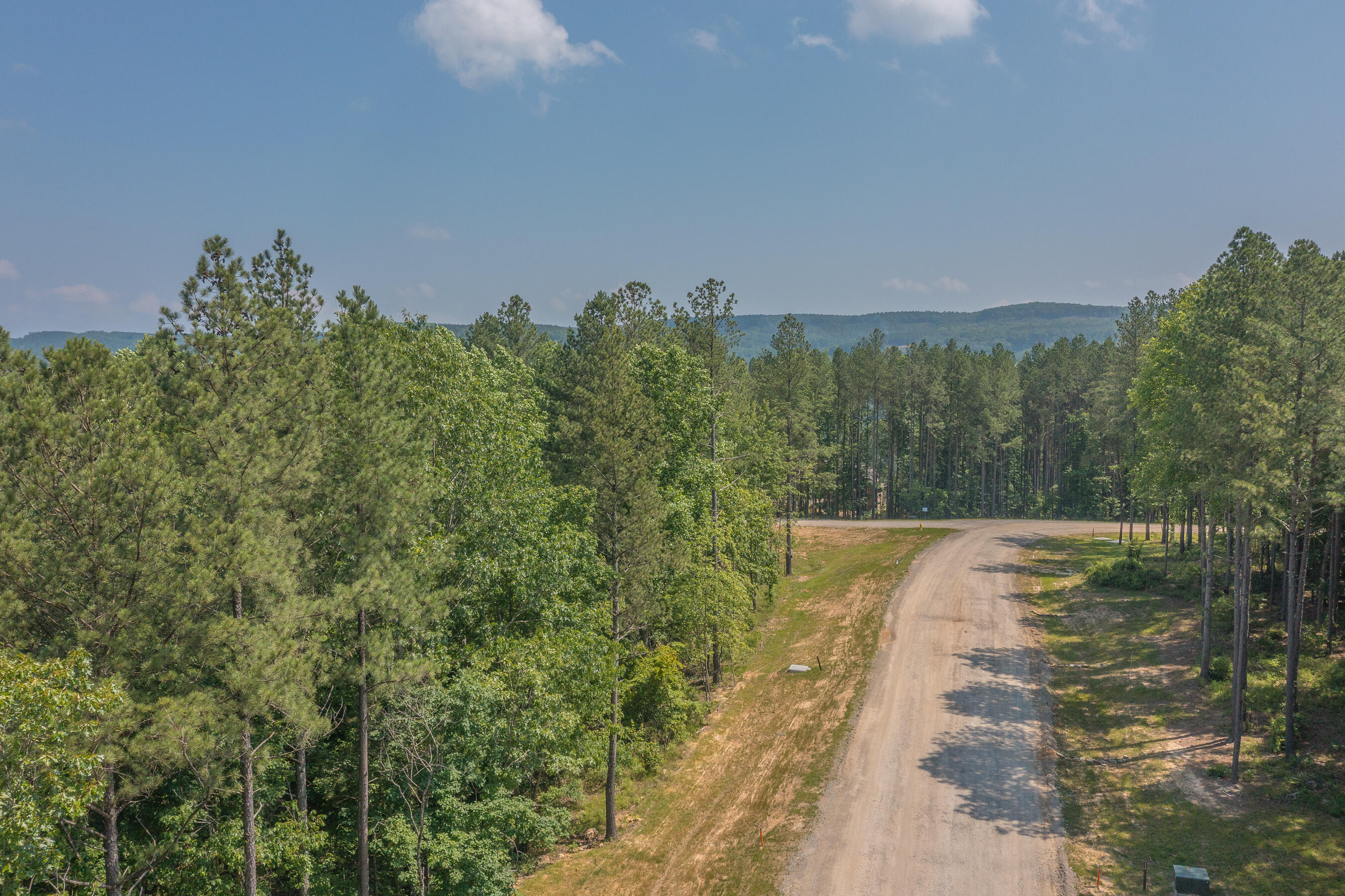 Birds Eye Drive #LOT 1055, Guild, Tennessee image 7