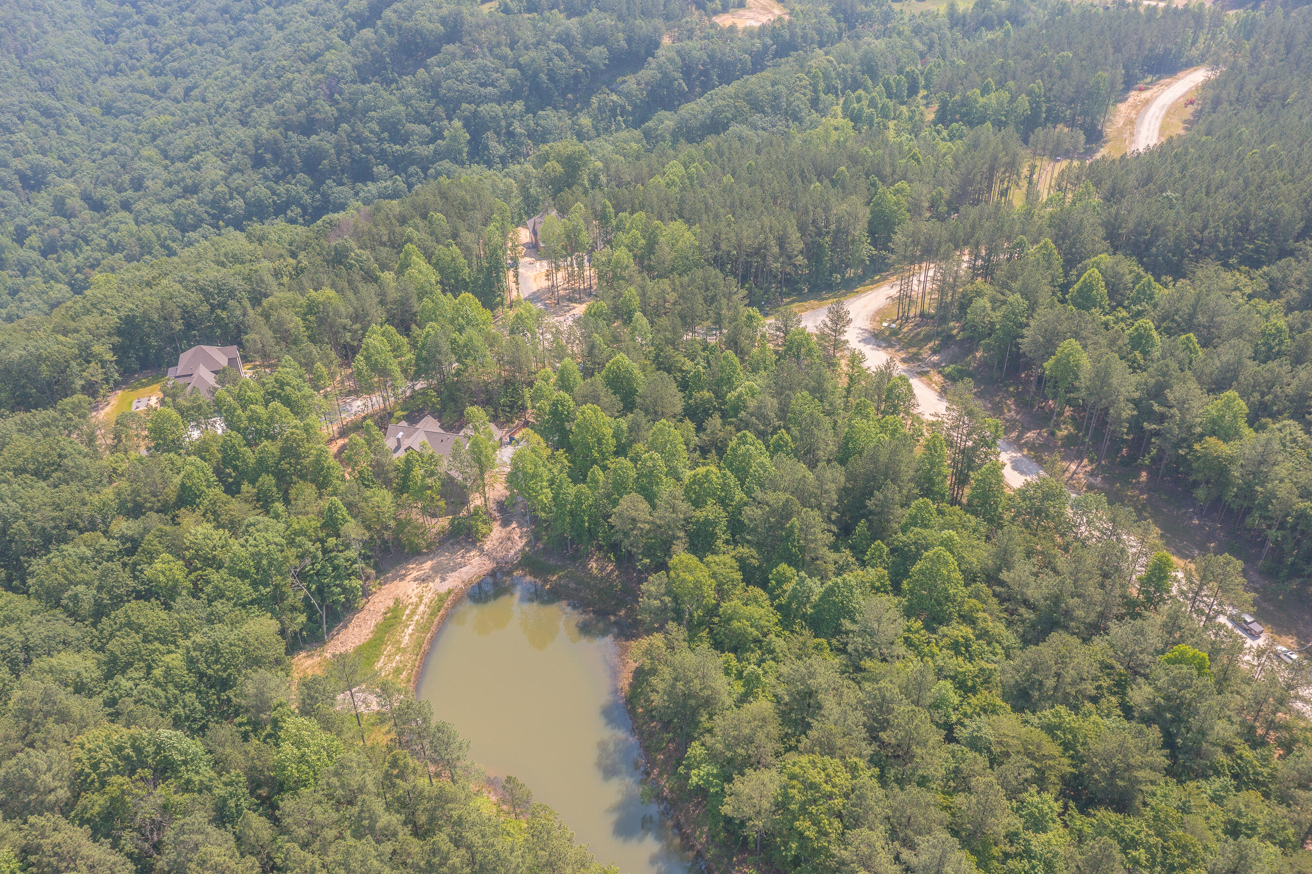 Birds Eye Drive #LOT 1055, Guild, Tennessee image 3