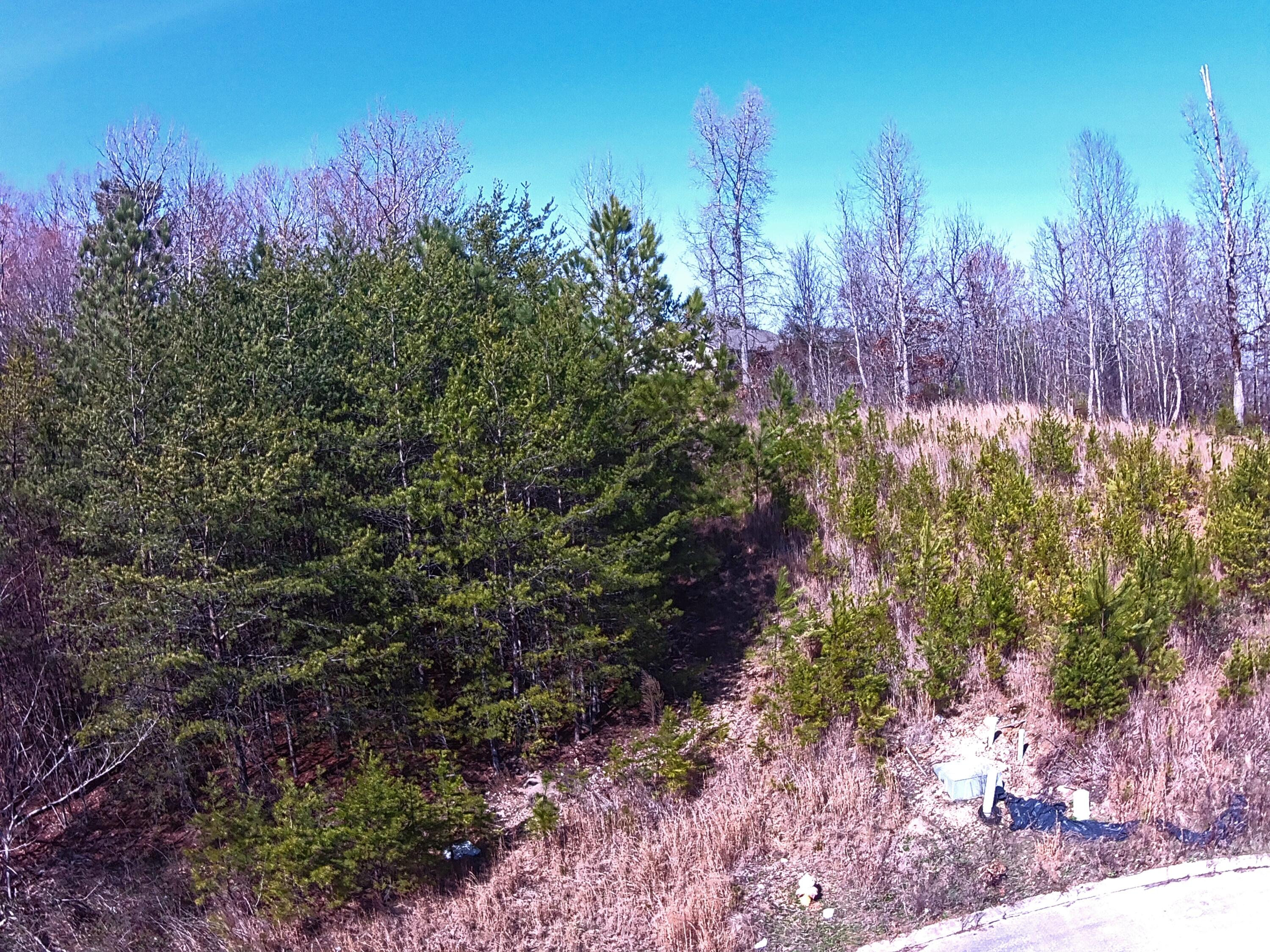 00 Nicole Drive #20A, Dayton, Tennessee image 4