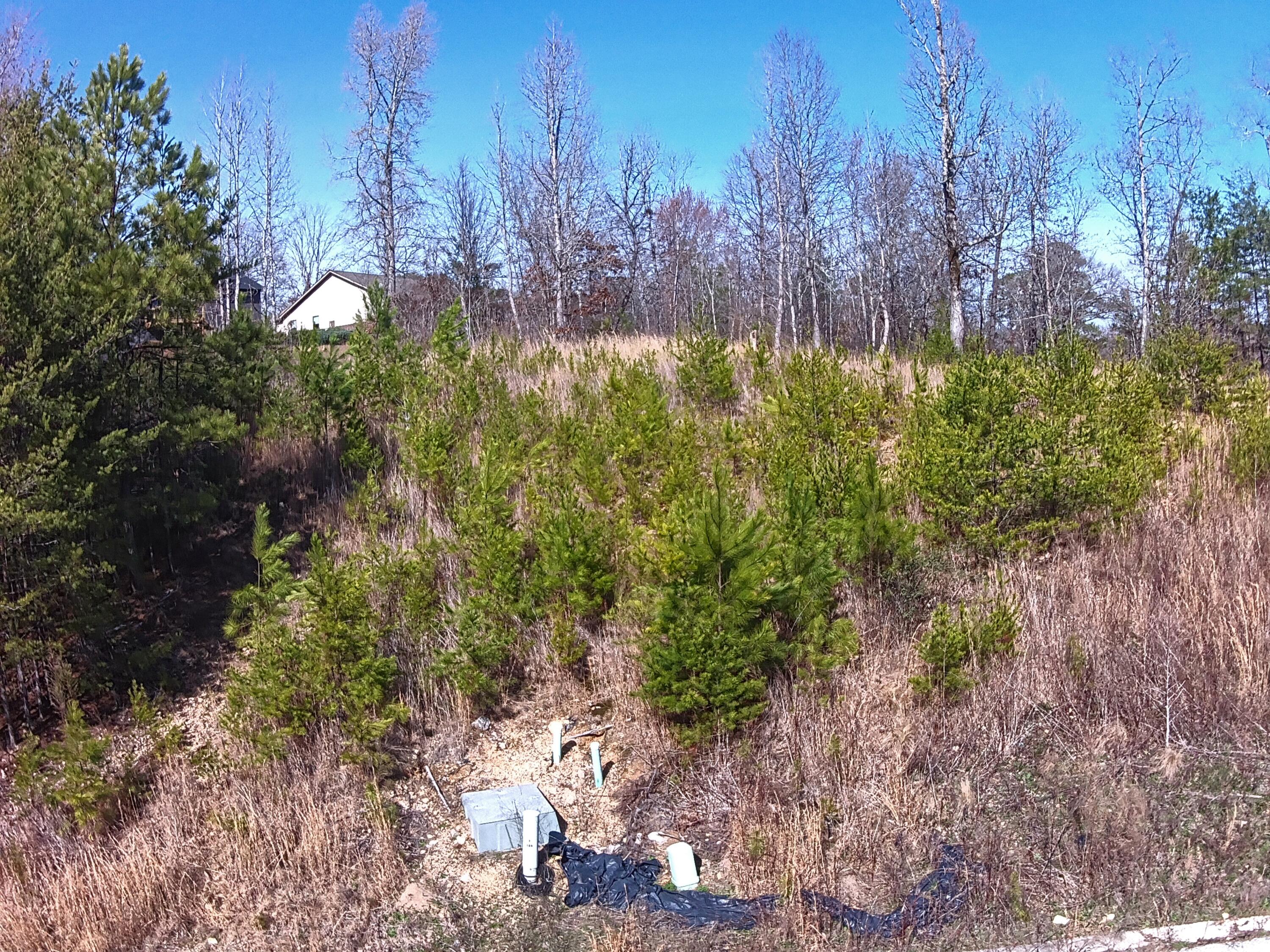 00 Nicole Drive #20A, Dayton, Tennessee image 3