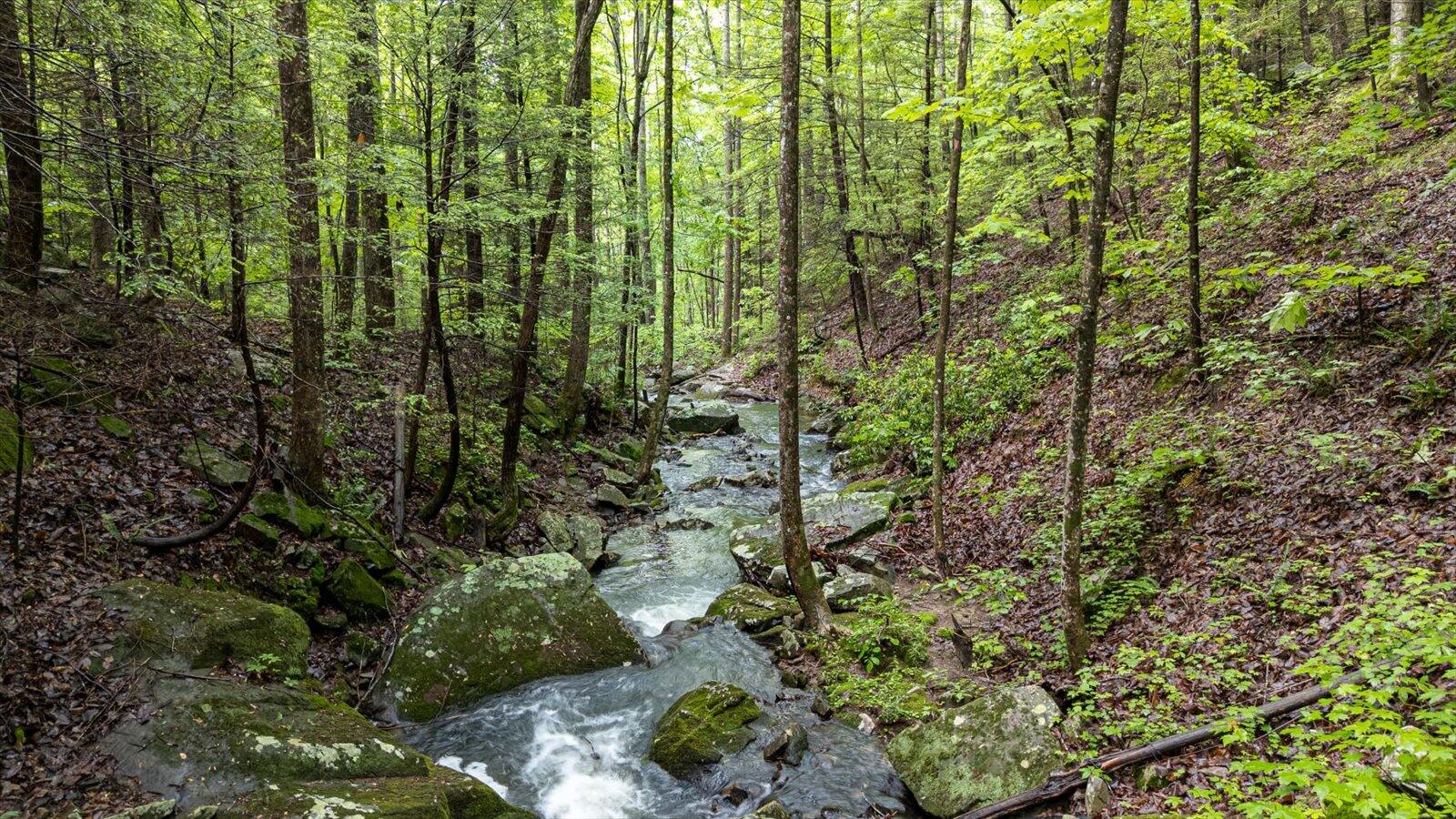 110 Falls Lane, Spencer, Tennessee image 36