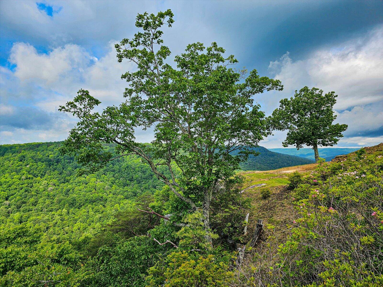 110 Falls Lane, Spencer, Tennessee image 20