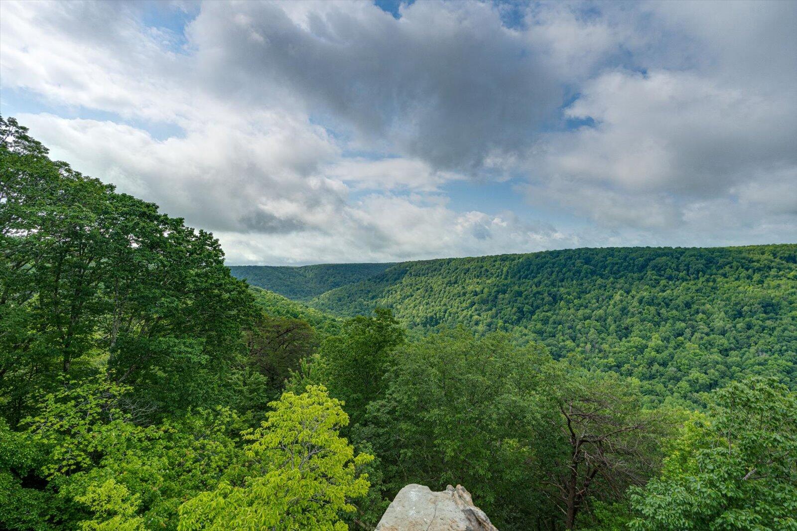 110 Falls Lane, Spencer, Tennessee image 28
