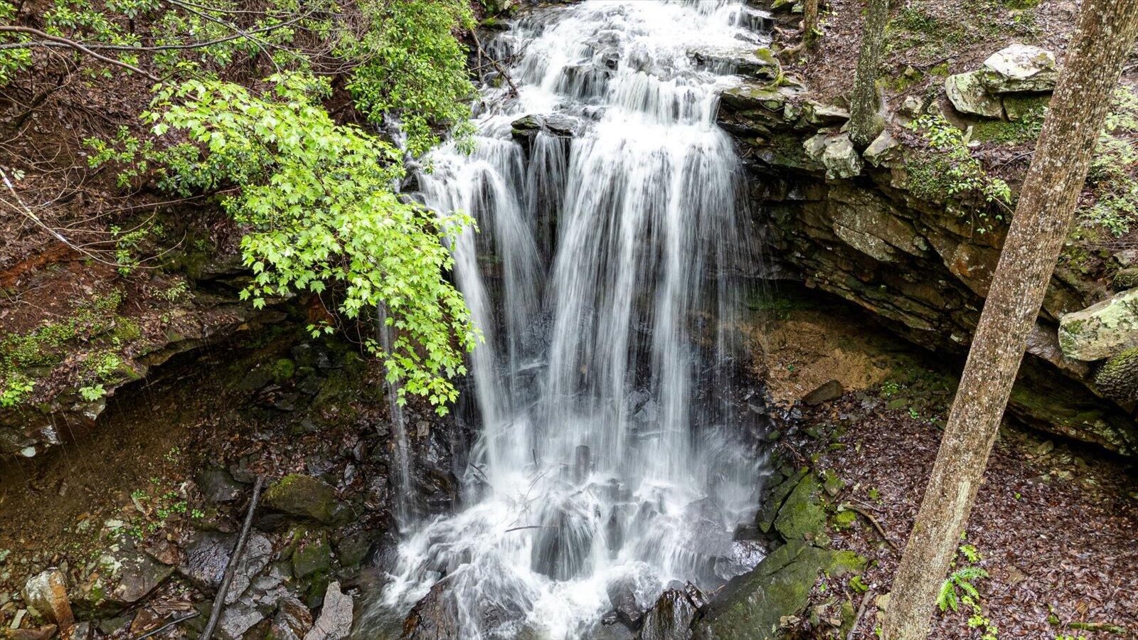 110 Falls Lane, Spencer, Tennessee image 31