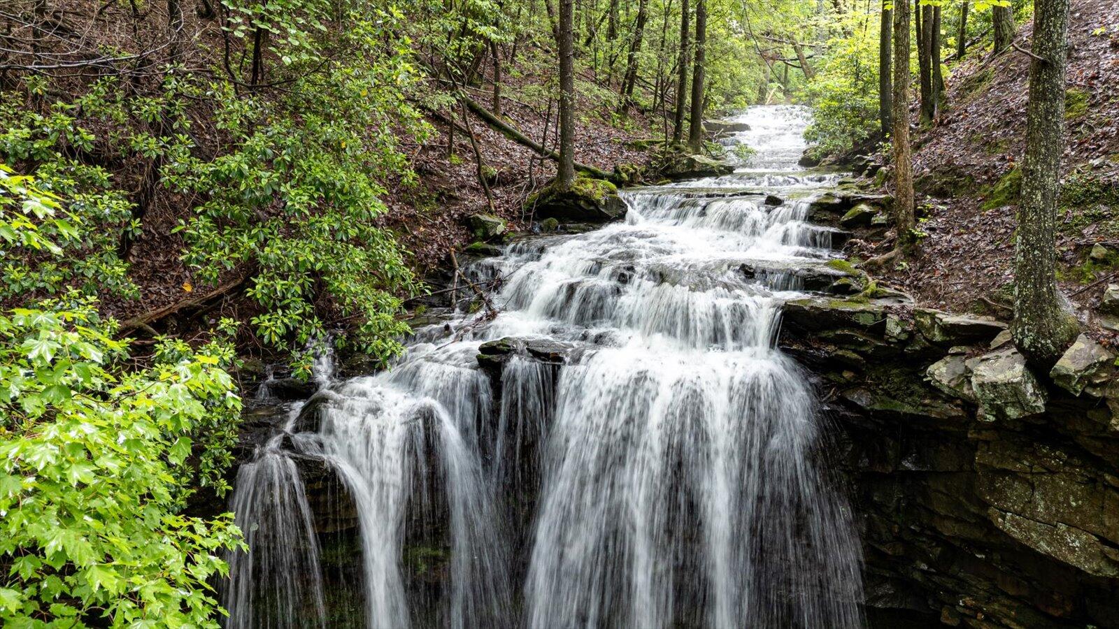 110 Falls Lane, Spencer, Tennessee image 4