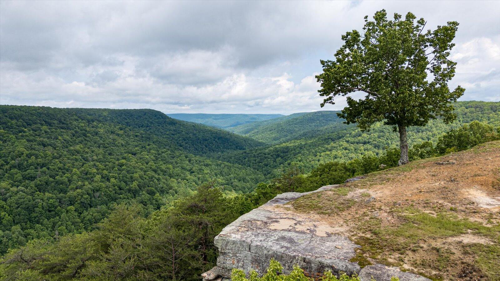 110 Falls Lane, Spencer, Tennessee image 42