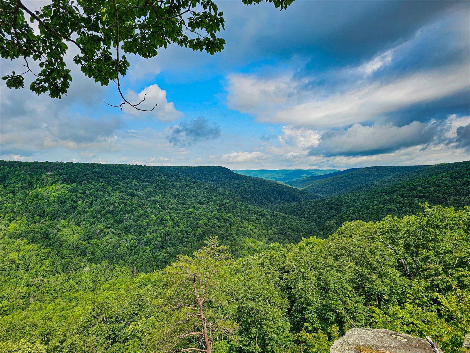 110 Falls Lane, Spencer, Tennessee image 25