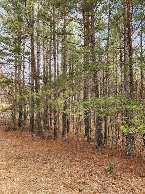 Tiny photo for 0 Sunset Road, Spencer, TN 38585 (MLS # 1528127)