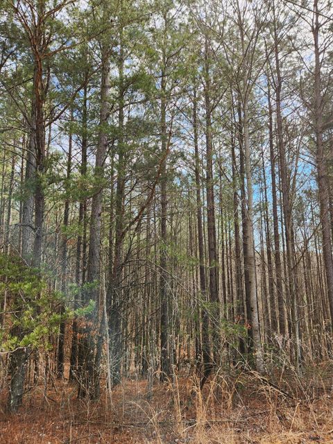 Tiny photo for 0 Sunset Road, Spencer, TN 38585 (MLS # 1528127)