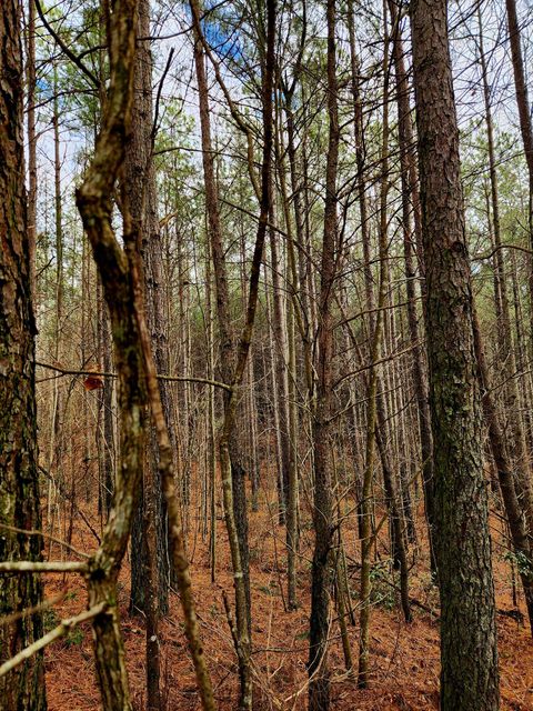 Tiny photo for 0 Sunset Road, Spencer, TN 38585 (MLS # 1528127)