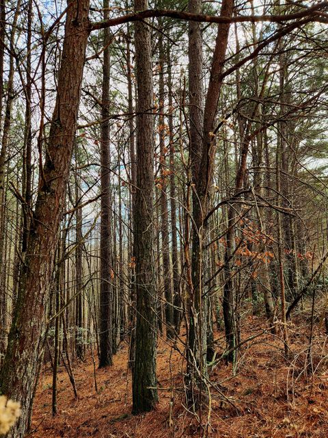 Tiny photo for 0 Sunset Road, Spencer, TN 38585 (MLS # 1528127)