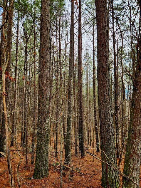 Tiny photo for 0 Sunset Road, Spencer, TN 38585 (MLS # 1528127)