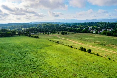 Tiny photo for 0 Hwy 139, Dandridge, TN 37725 (MLS # 1359031)