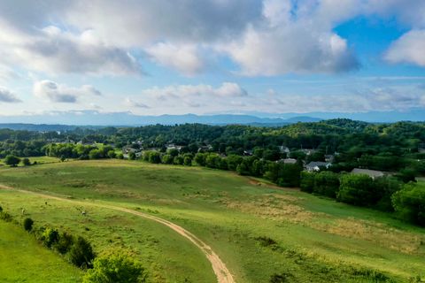 Tiny photo for 0 Hwy 139, Dandridge, TN 37725 (MLS # 1359031)