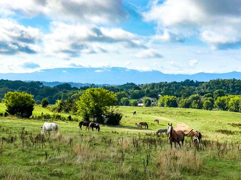 Tiny photo for 0 Hwy 139, Dandridge, TN 37725 (MLS # 1359031)