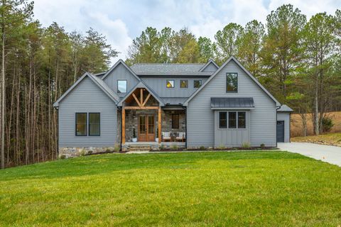 3930 Split Rail Way Guild TN 37340