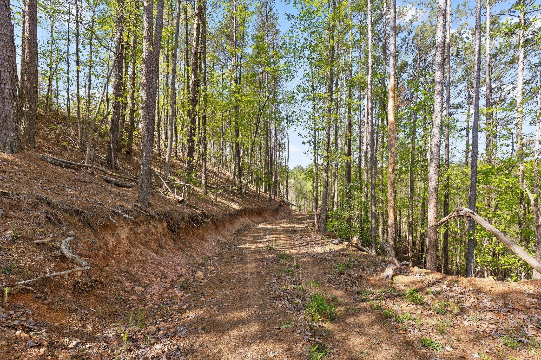Hwy 411 Road, Chatsworth, Georgia image 18