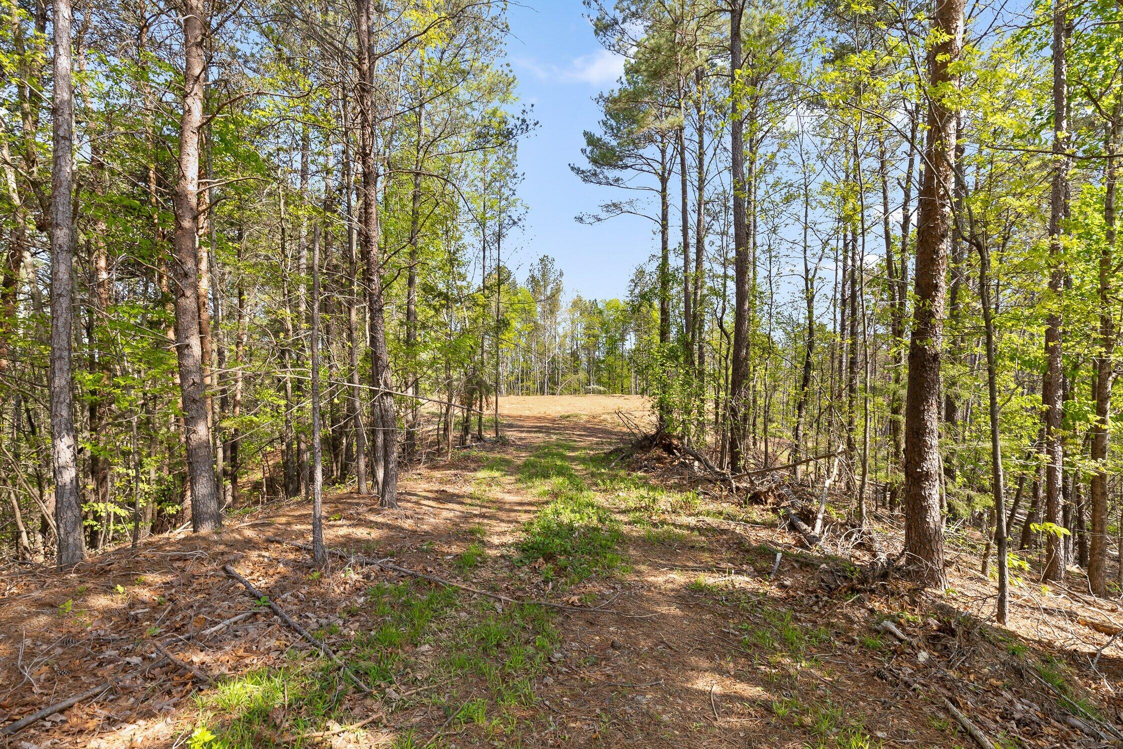Hwy 411 Road, Chatsworth, Georgia image 16