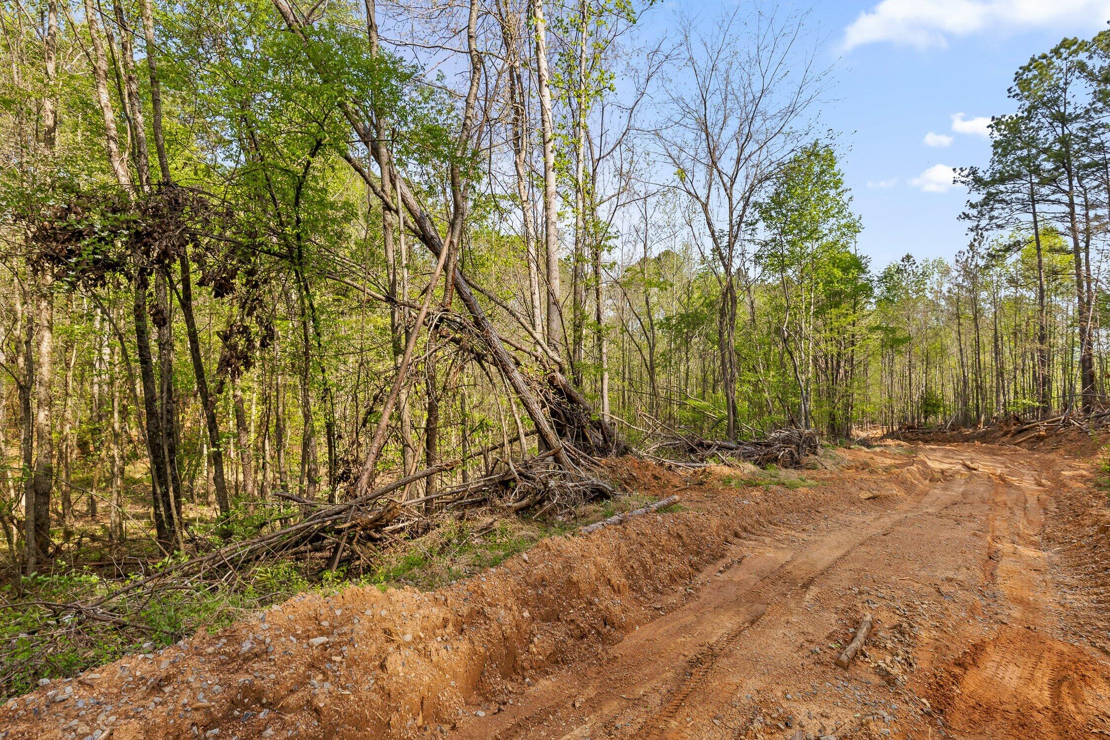 Hwy 411 Road, Chatsworth, Georgia image 4